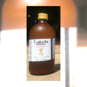 Probiotic Kombucha